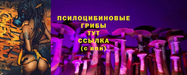 мет Алзамай