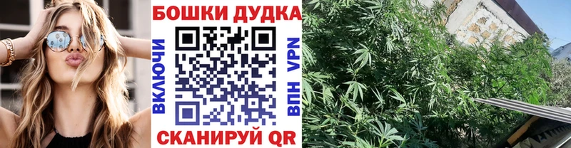 Конопля ГИДРОПОН  купить   Бакал 